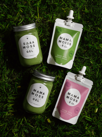 Picture for category Mason Jars